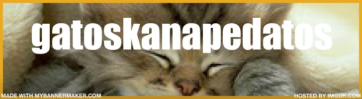 gatoskanapedatos