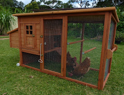 chicken coop chickens plans coops friday google