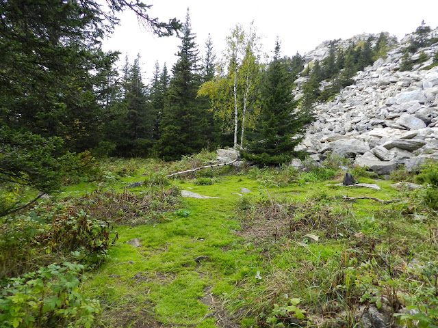 Поляна покрытая мхом у хребта Зюраткуль