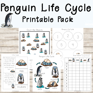 FREE Penguin Life Cycle Worksheets