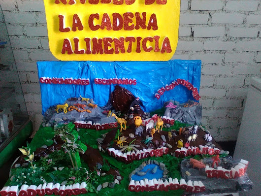 cadena alimenticia google translate maqueta de la cadena alimenticia cadena alimenticia google translate maqueta de la cadena alimenticia