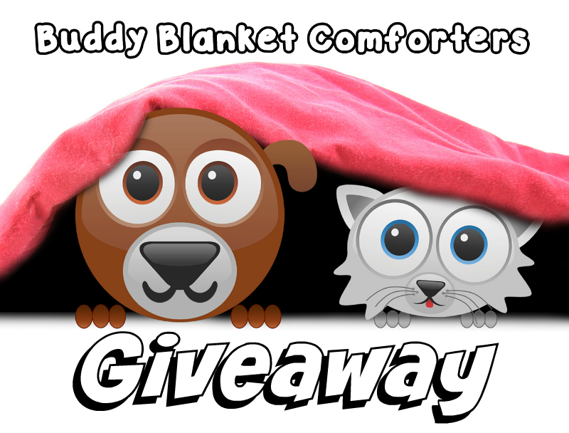 Buddy Blanket Pet Comforter Giveaway Pawsitively Pets