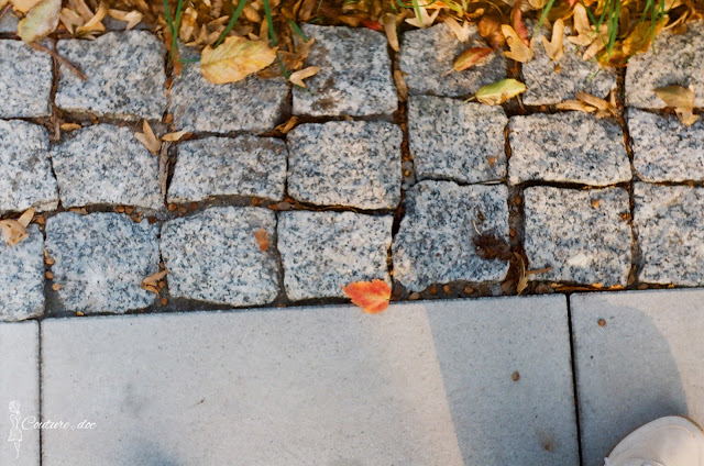 Warszawa analogowo listek, jesień, chodnik