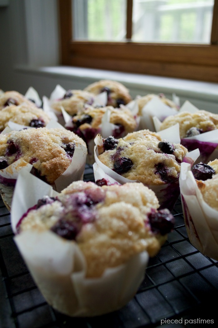 Pieced-Pastimes-Vegan-Blueberry-Muffins