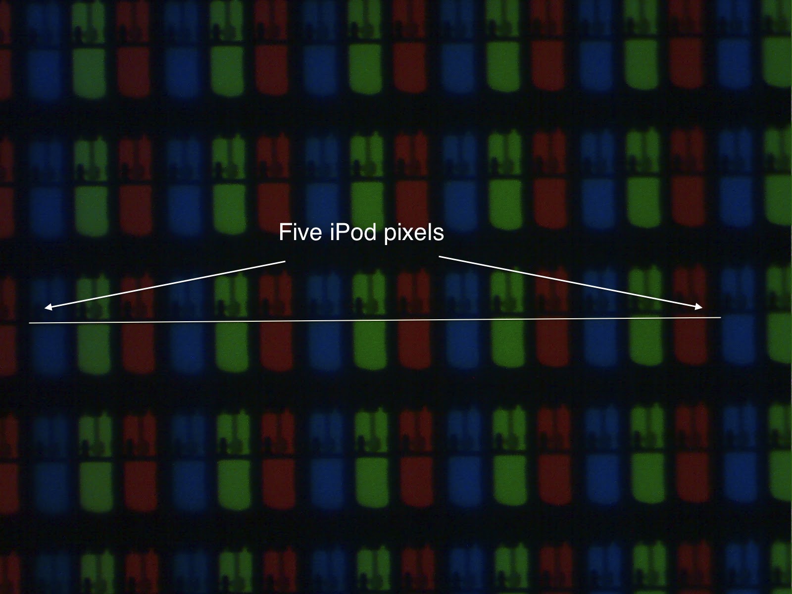 Pangea Arts and Sciences Calibrating a Microscope