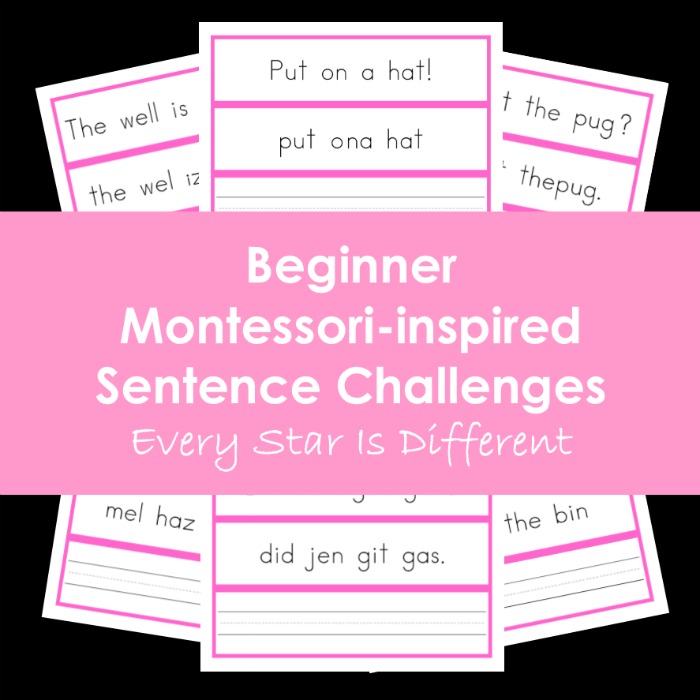 Beginner Montessori-inspired Sentence Challenges