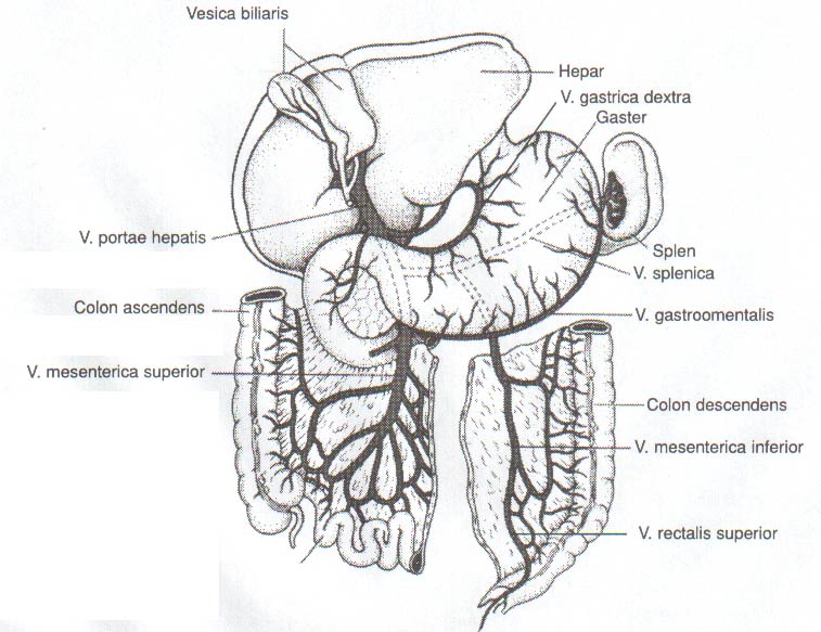 articulatio sacroiliaca dextra