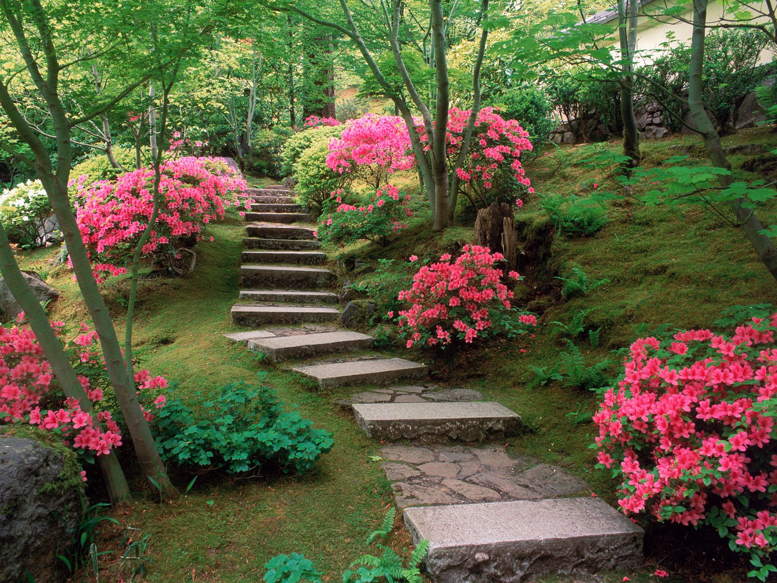 http://3.bp.blogspot.com/-gNKhP4Y3mKM/T03-JZbYnUI/AAAAAAAAAGA/mWThqQVYVps/s1600/azaleas_japanese_garden-normal.jpg