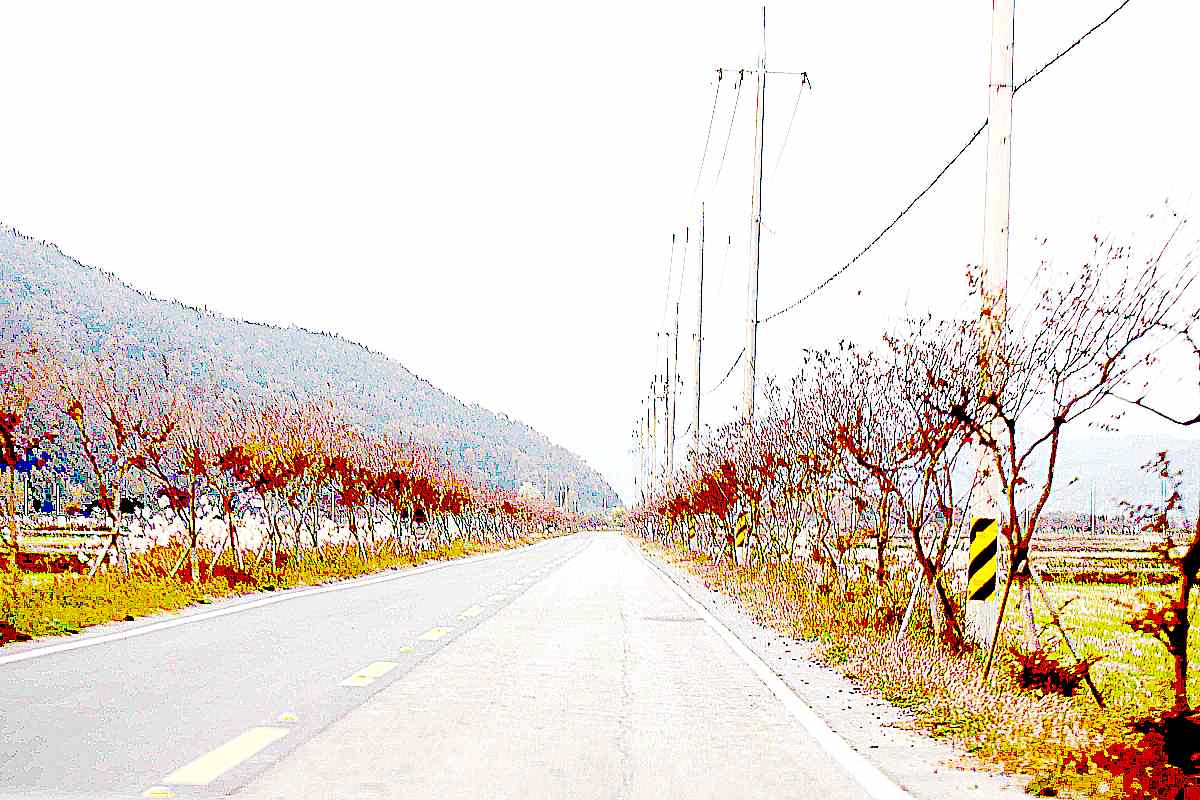 화순 계당산 쌍봉사