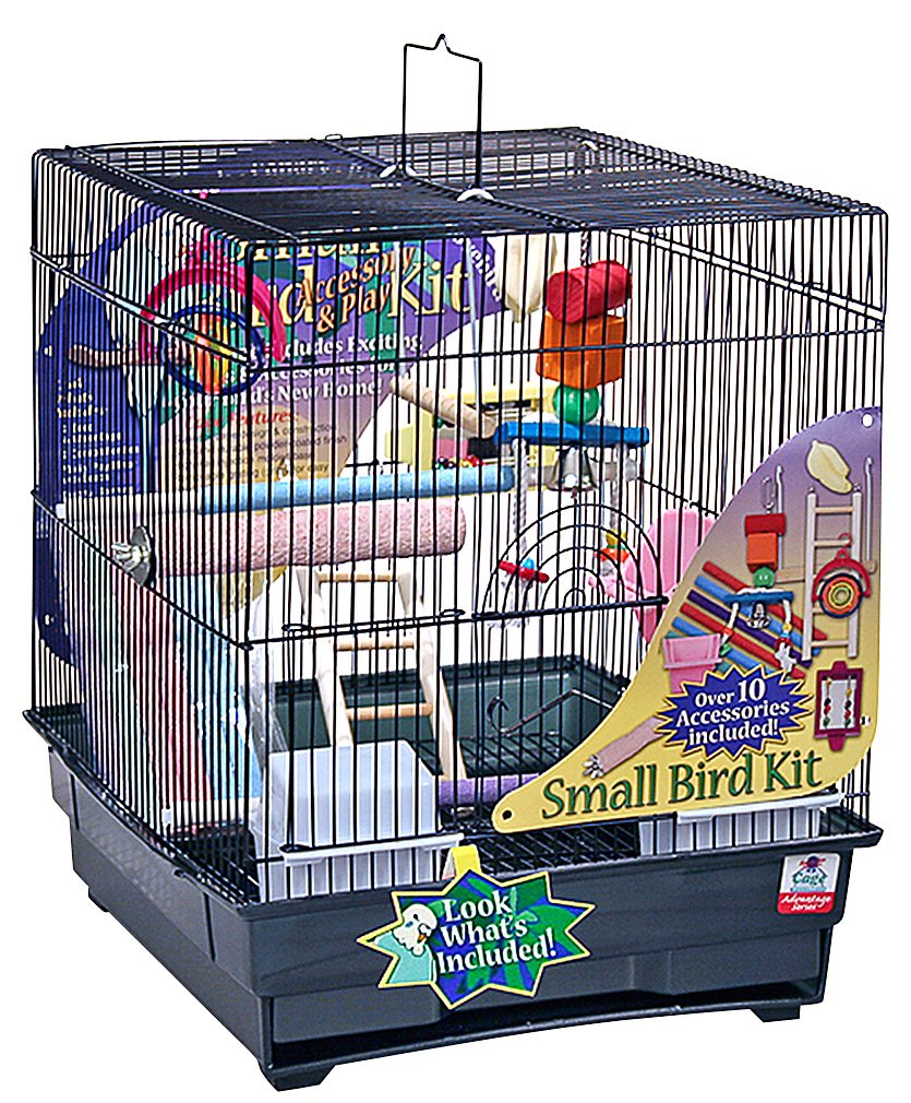 Bird In Everything Cage Birds Play