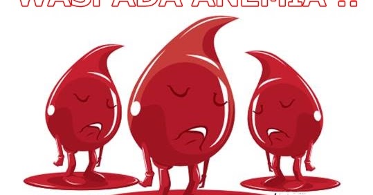 Penyebab Anemia Dan Cara Mengatasi Anemia  Cara Mengobati Secara Alami