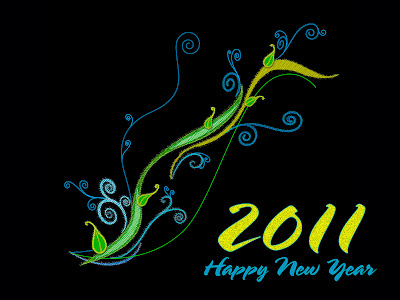 Naveen&#039;s , photos: August 2011