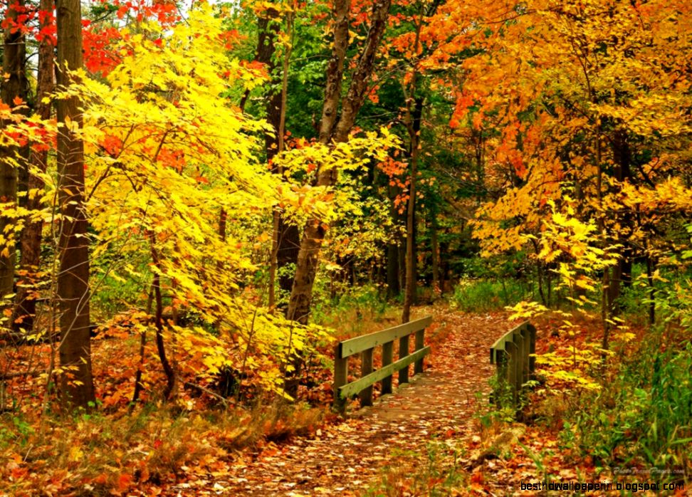 Autumn Scenes Screensavers Wallpaper Best Hd Wallpapers