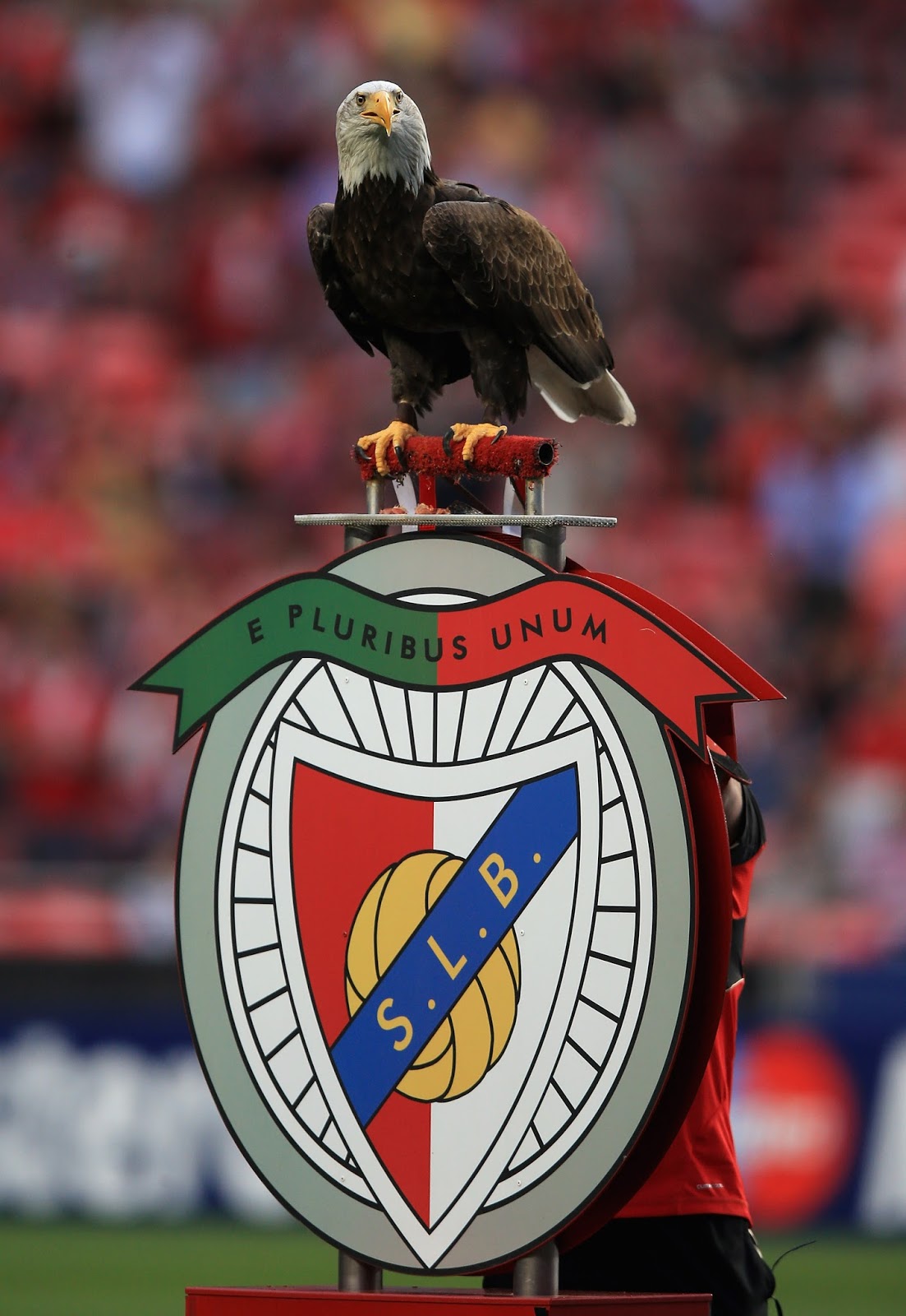 aguia do benfica - I love Portugal