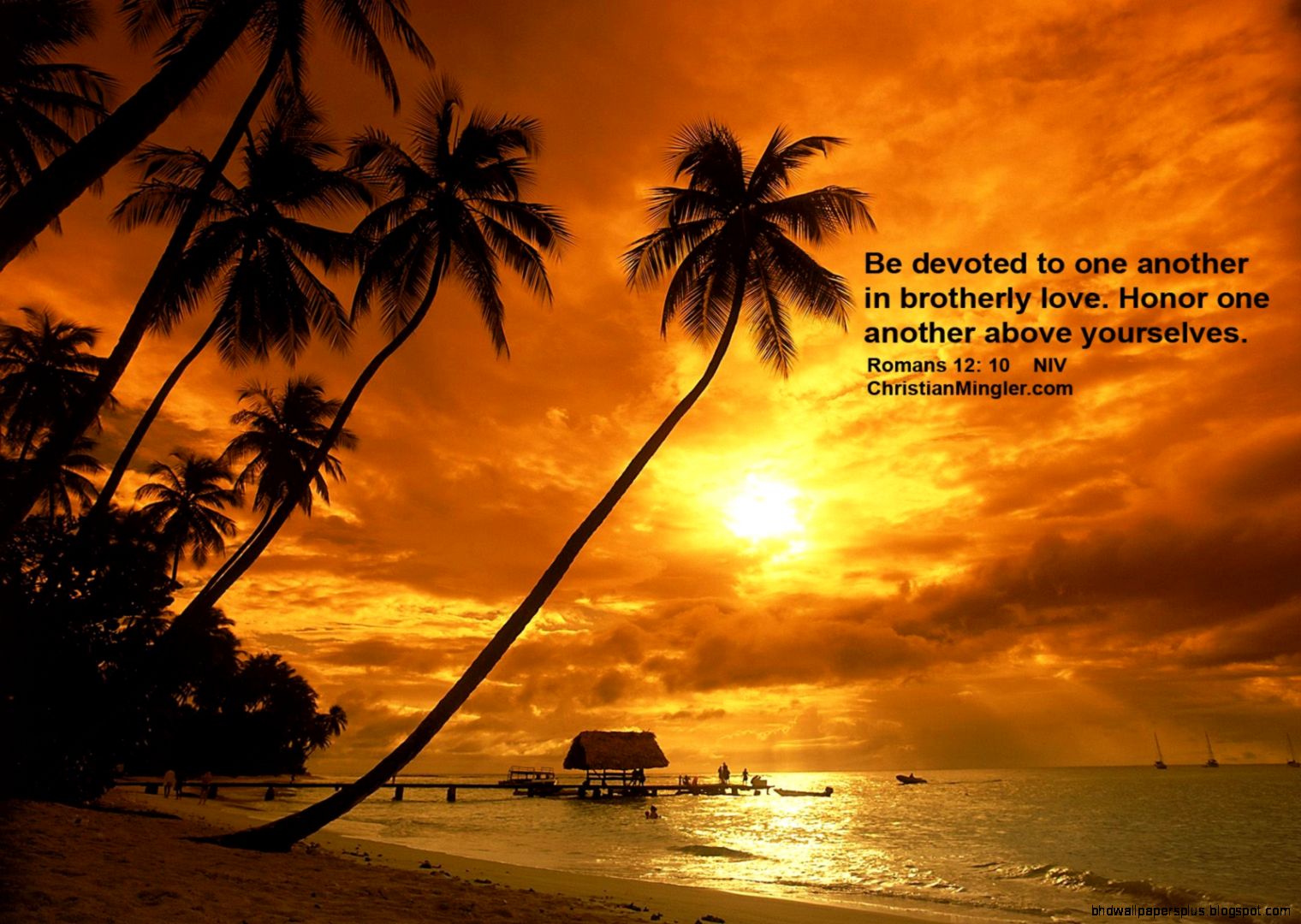Tropical Beach Sunset