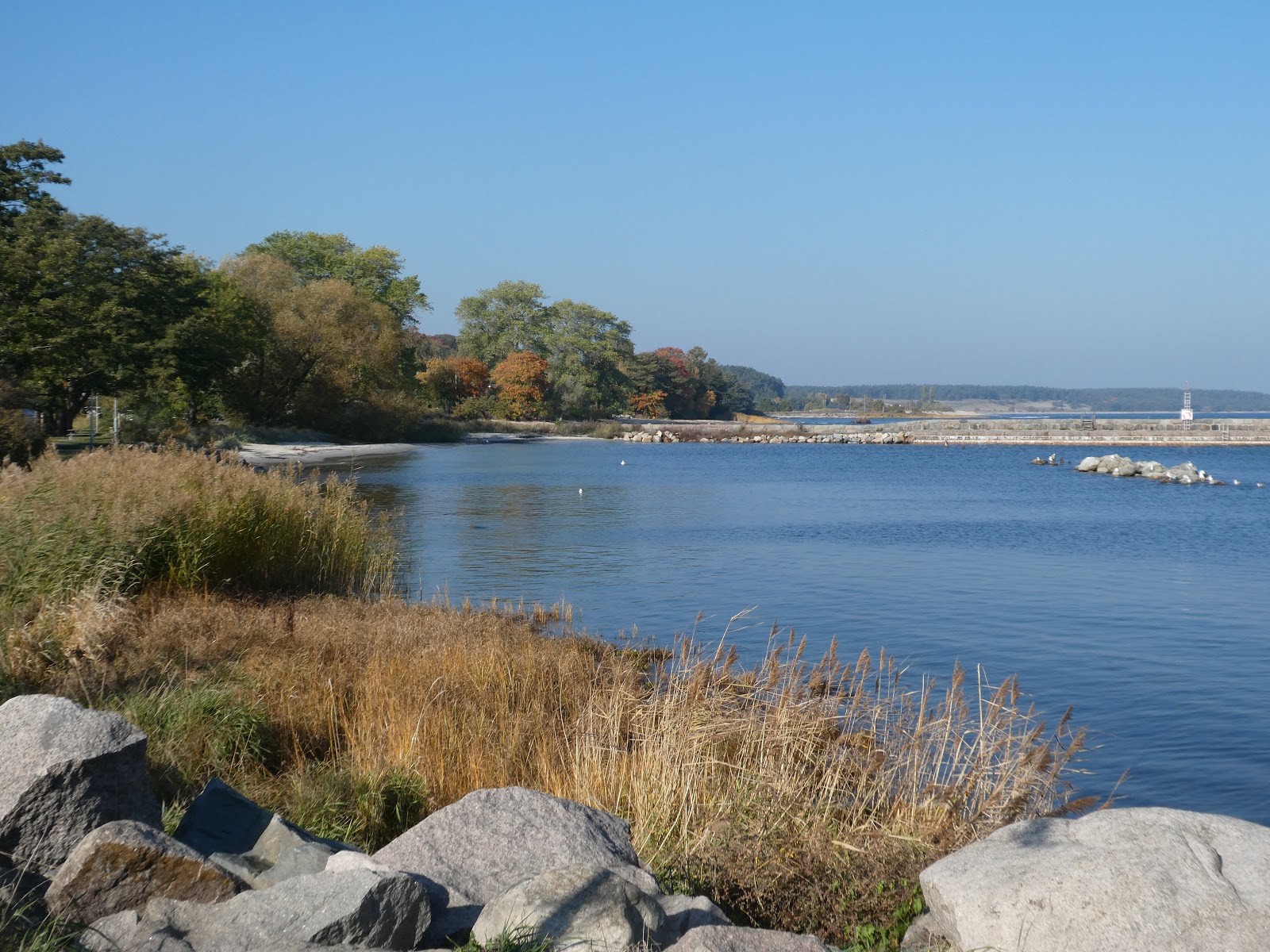 Emmett Till visual data 7