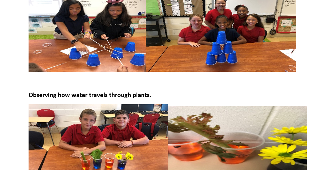 STEM Activities 5th Grade