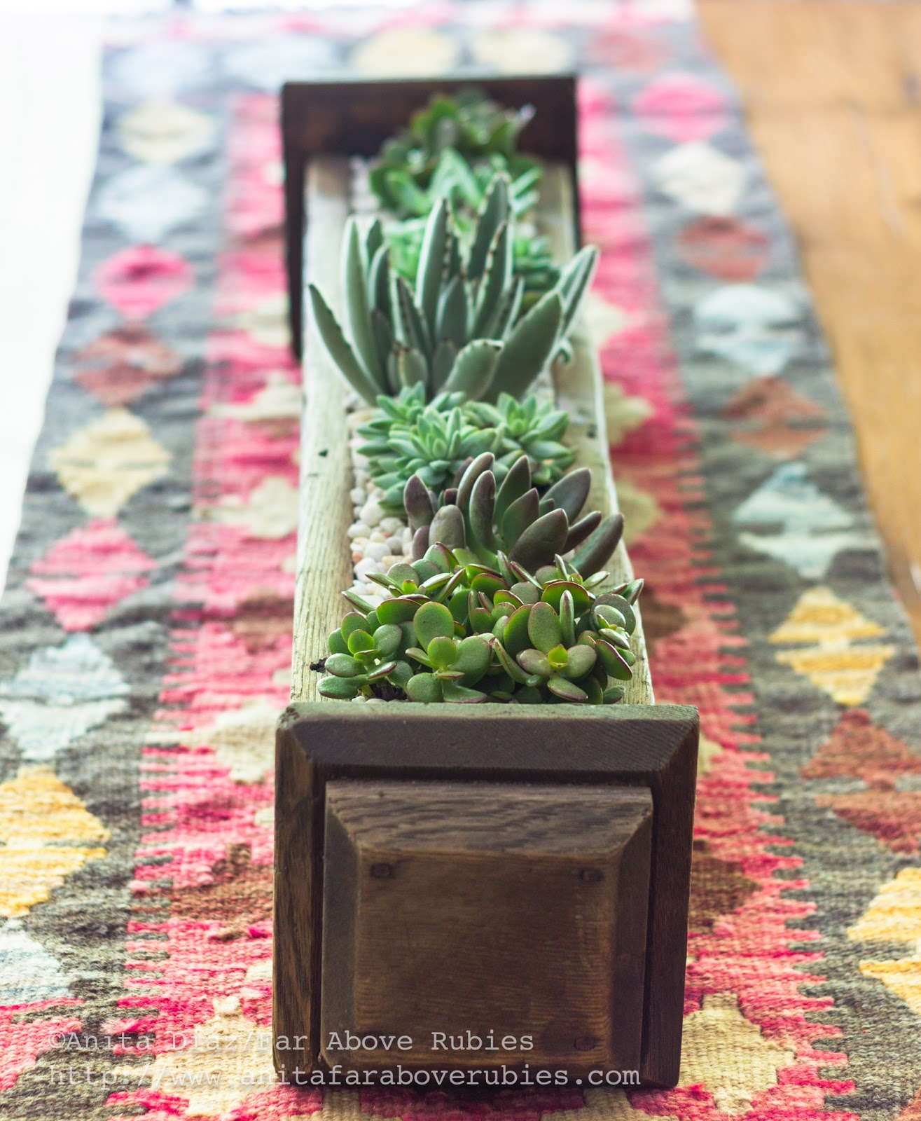 Succulent Planter Box Whispering Pines Homestead