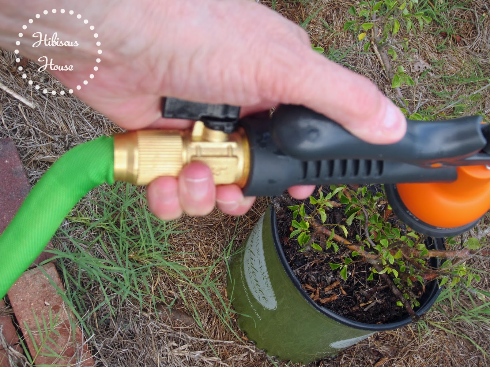 Hibiscus House ohuhu Expandable Garden Hose Product Review