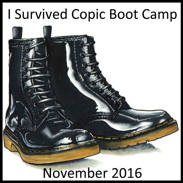 Boot Camp 2016