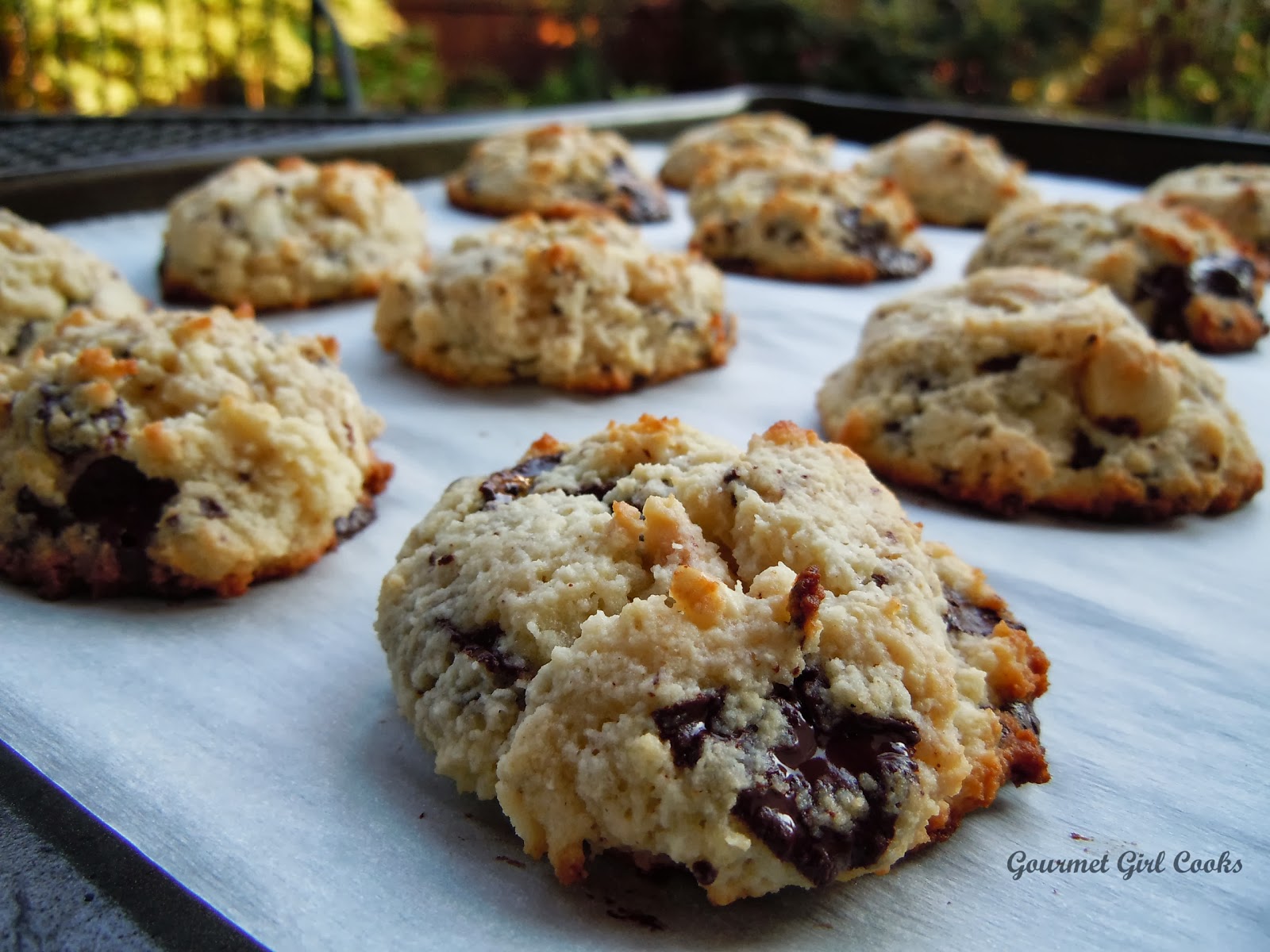 Gourmet Girl Cooks Chocolate Chip Hazelnut Cookies Last Day to