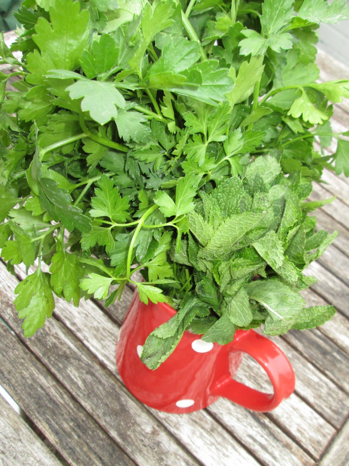 Little & Local Keeping cut herbs fresh