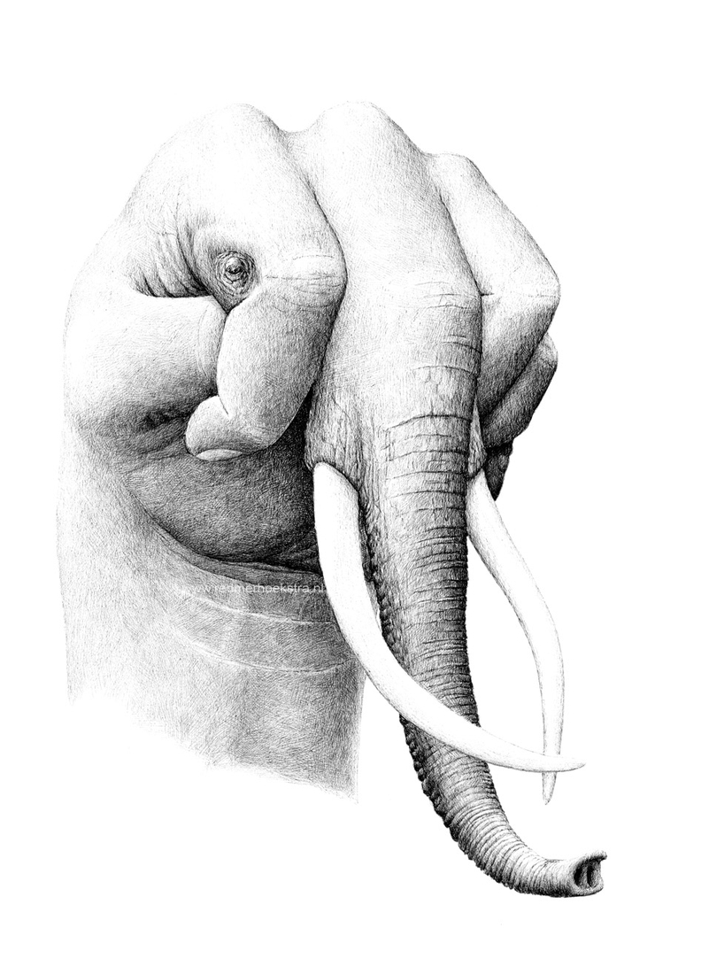 09-Elephant-Hand-Redmer-Hoekstra-Surreal-Animal-Drawings-Pen-on-Paper-www-designstack-co