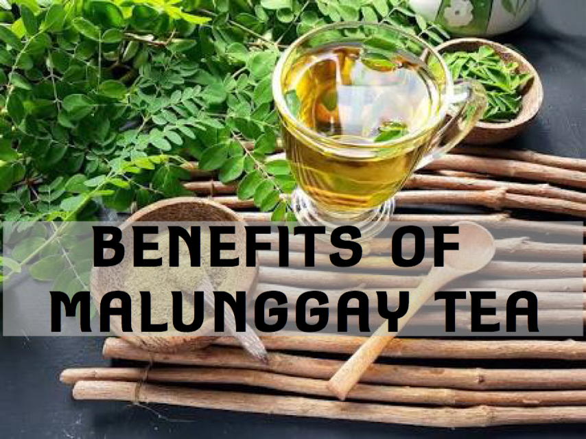 How To Make Malunggay Tea The Powerful Health Benefits Of Malunggay