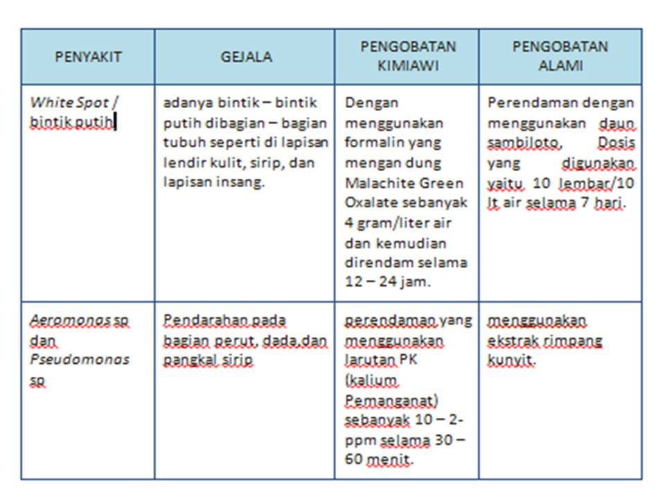 Komunitas Penyuluh Perikanan February 2019