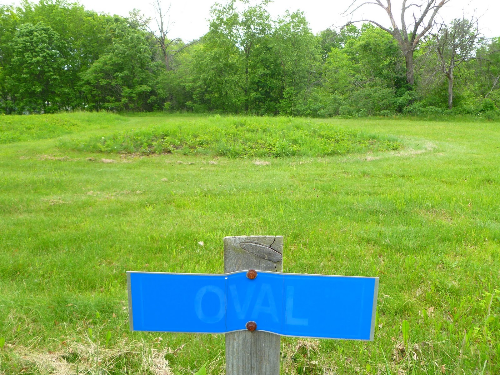 Life on Arbor Lane New Lisbon Indian Mounds