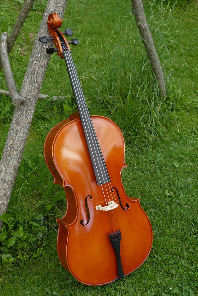 2009 Eastman VC90 4/4 Cello