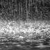 Σε Θεσπρωτία και Κέρκυρα τα  μεγαλύτερα ύψη βροχής 
