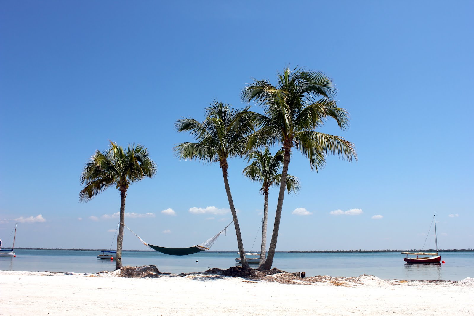 Planted by Streams: Spring Break in Boca Grande