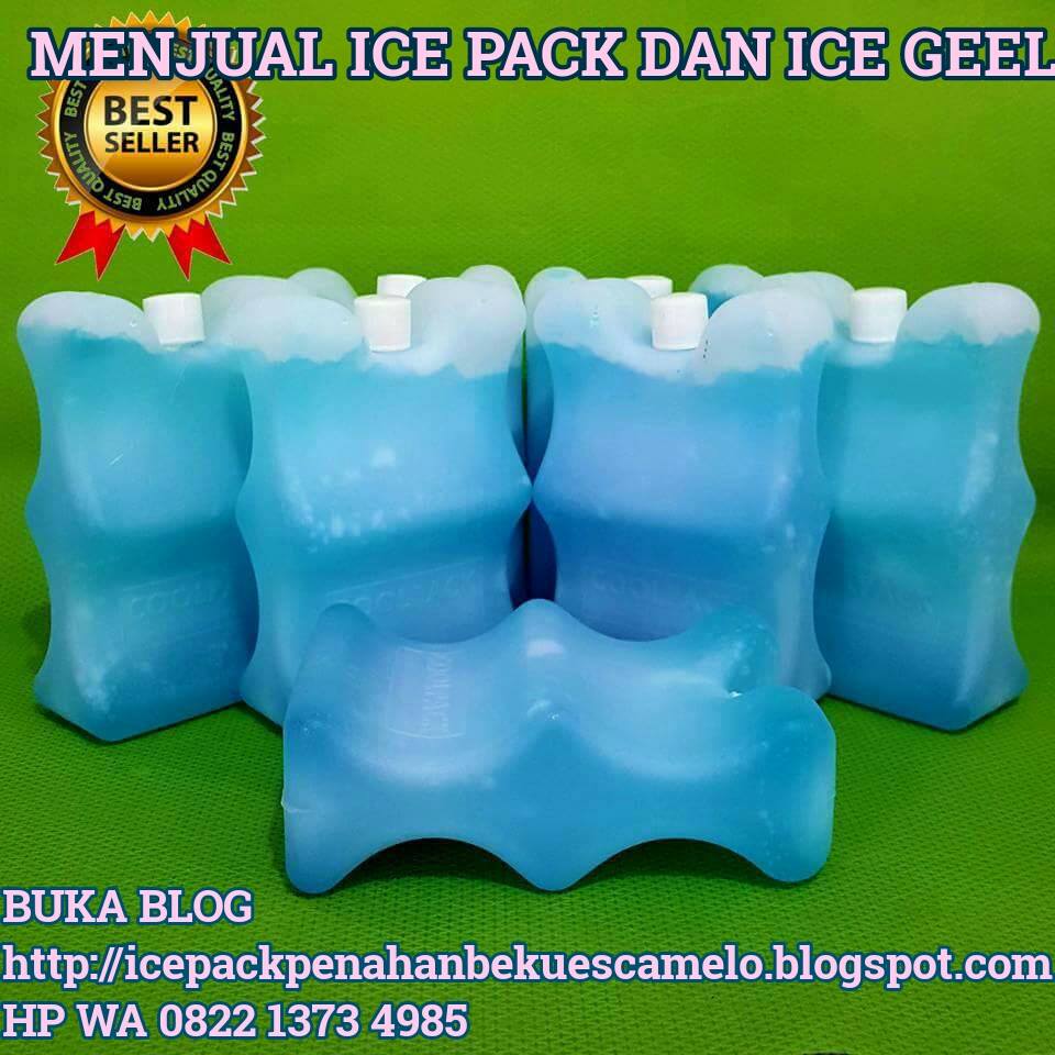 ICE PACK MENAHAN BEKU ES CAMELO BISA BEKU ES CAMELO DI BOK  TERMOS  10 JAM