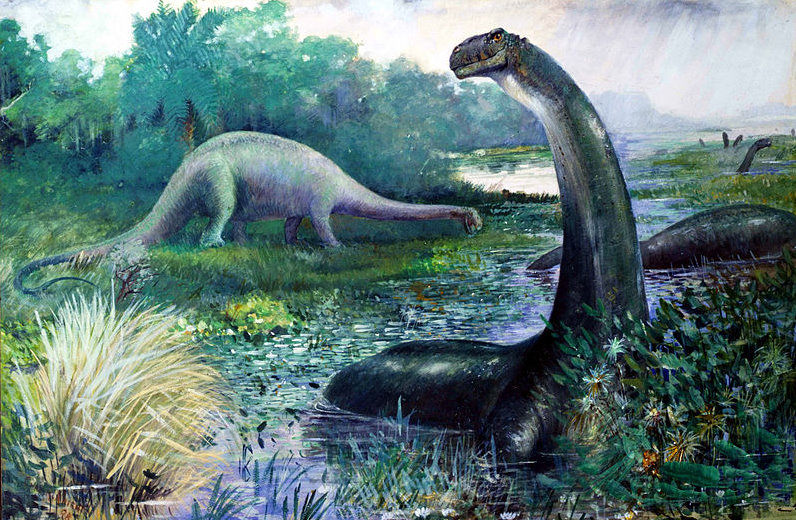 Apatosaurus brontosaurus essay image