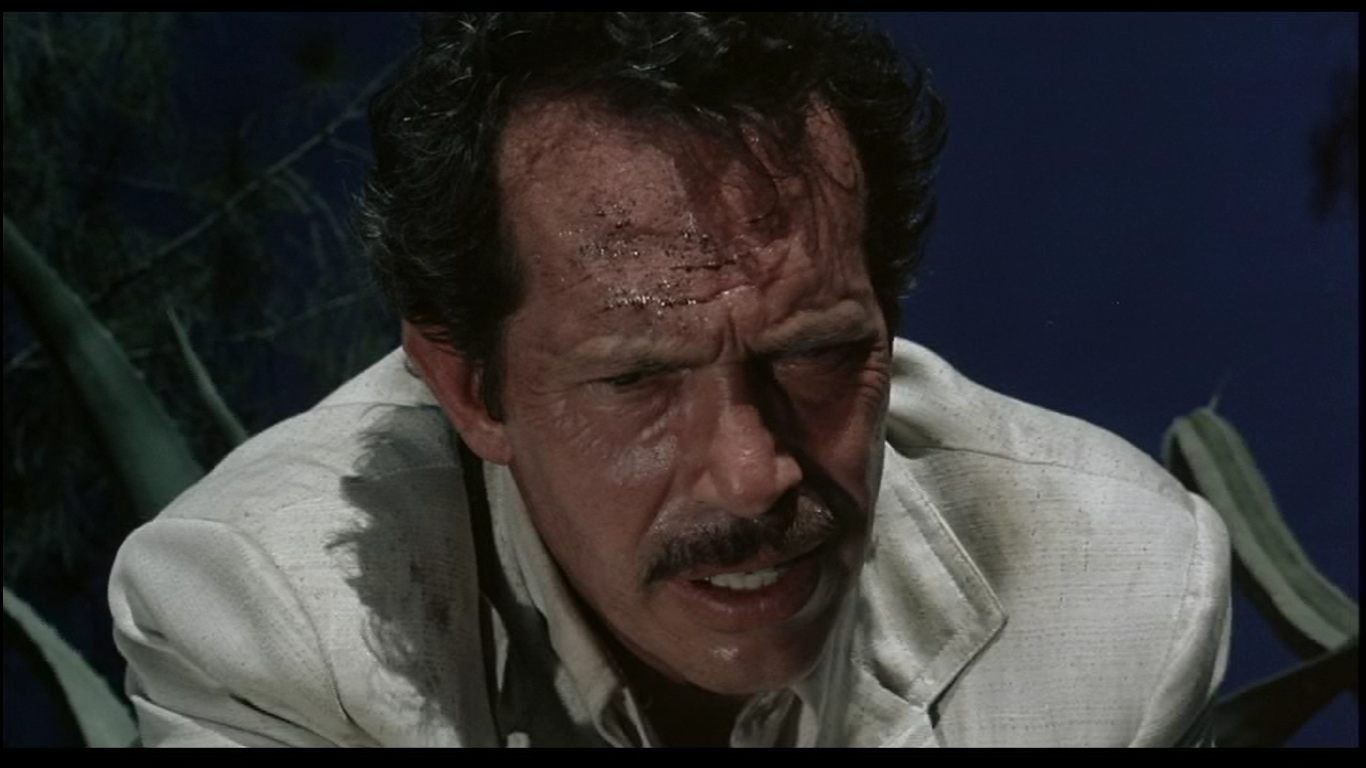 Screen Pages Bring me the head of Alfredo Garcia [1974]