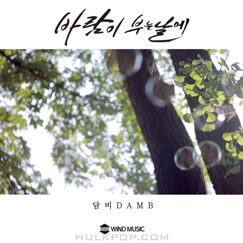 DAMB – 바람이 부는 날에 – Single