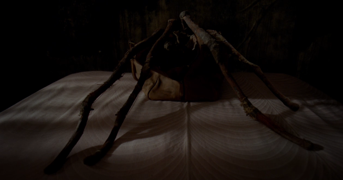 Possum Worth a watch?