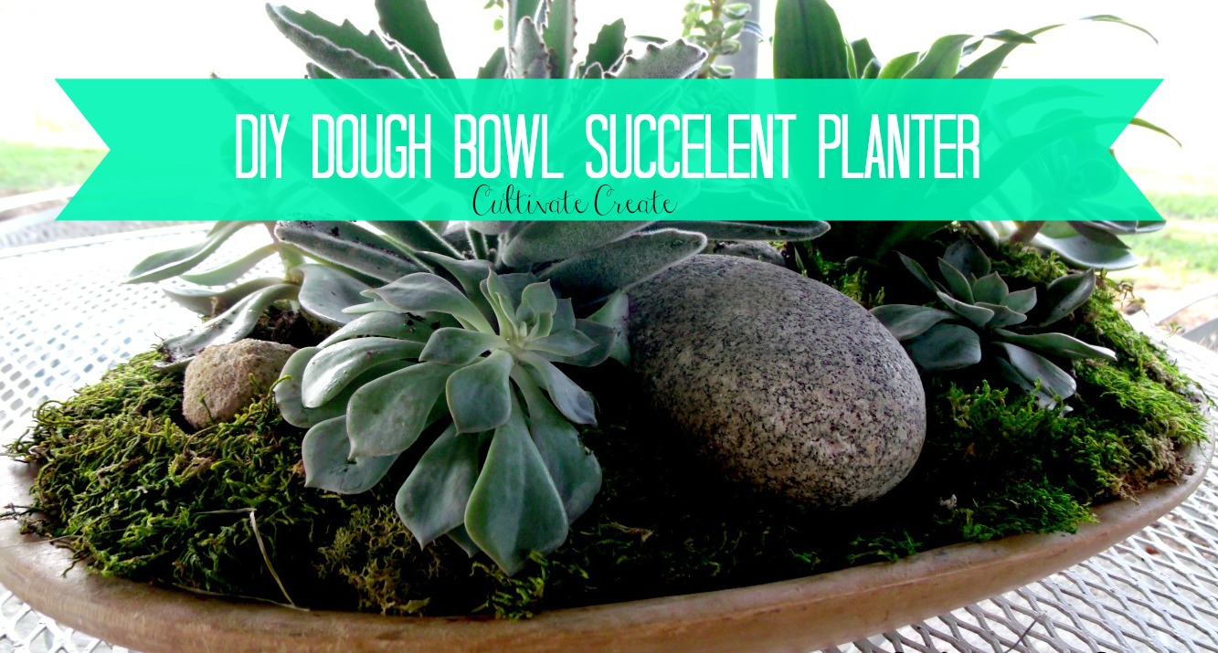 Cultivate Create DIY Dough Bowl Succulent Planter