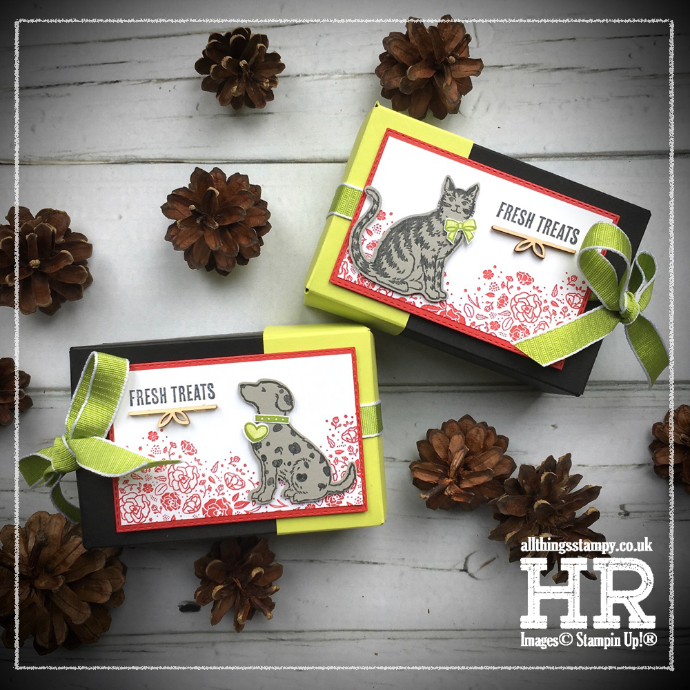 All Things Stampy Cat and dog treat boxes using the Gift Bag Punch Board