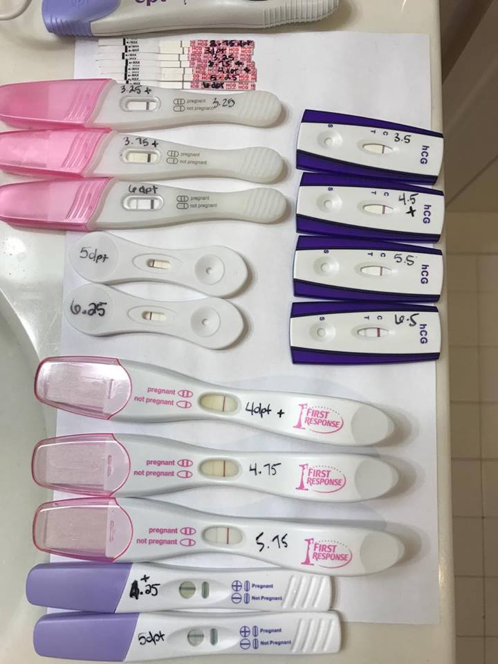 What a Wonderful World A Surrogacy Journey A follow up on the