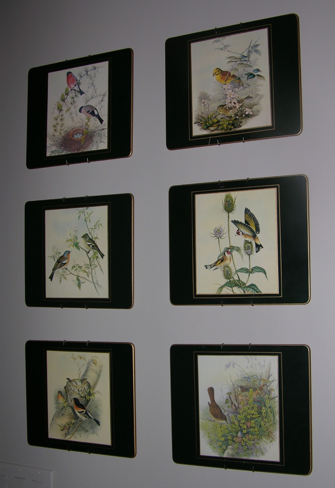 Sandy At Sterling Property Services Lady Clare Placemats