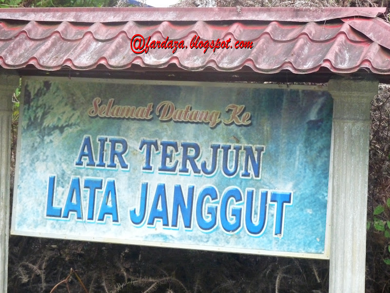 Kelantan lata janggut jeli splash.stagecoachfestival.com :