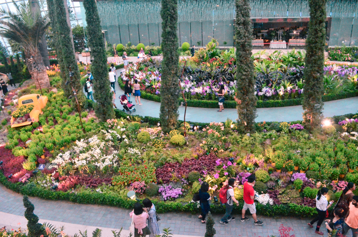 Flower Dome, Gardens by the Bay