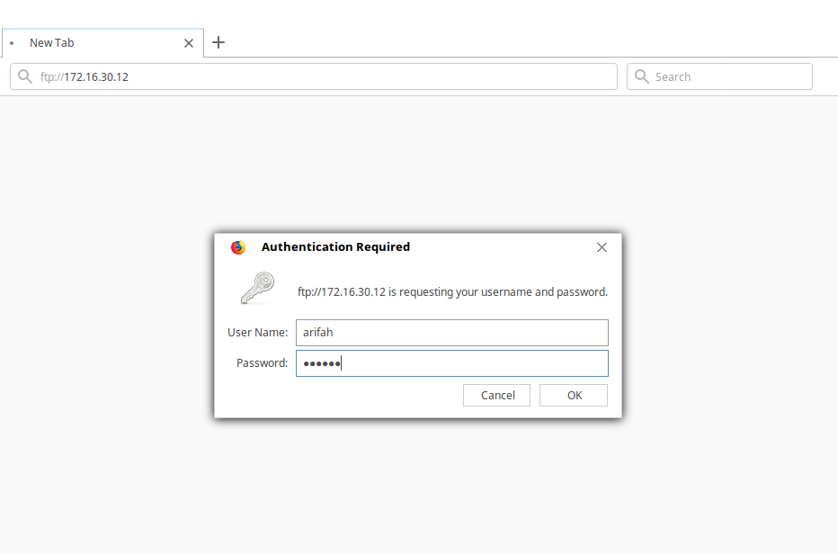 33. Ftp терминал. Ftp терминал. Ftp терминал. Скрипт на хакерский экран.