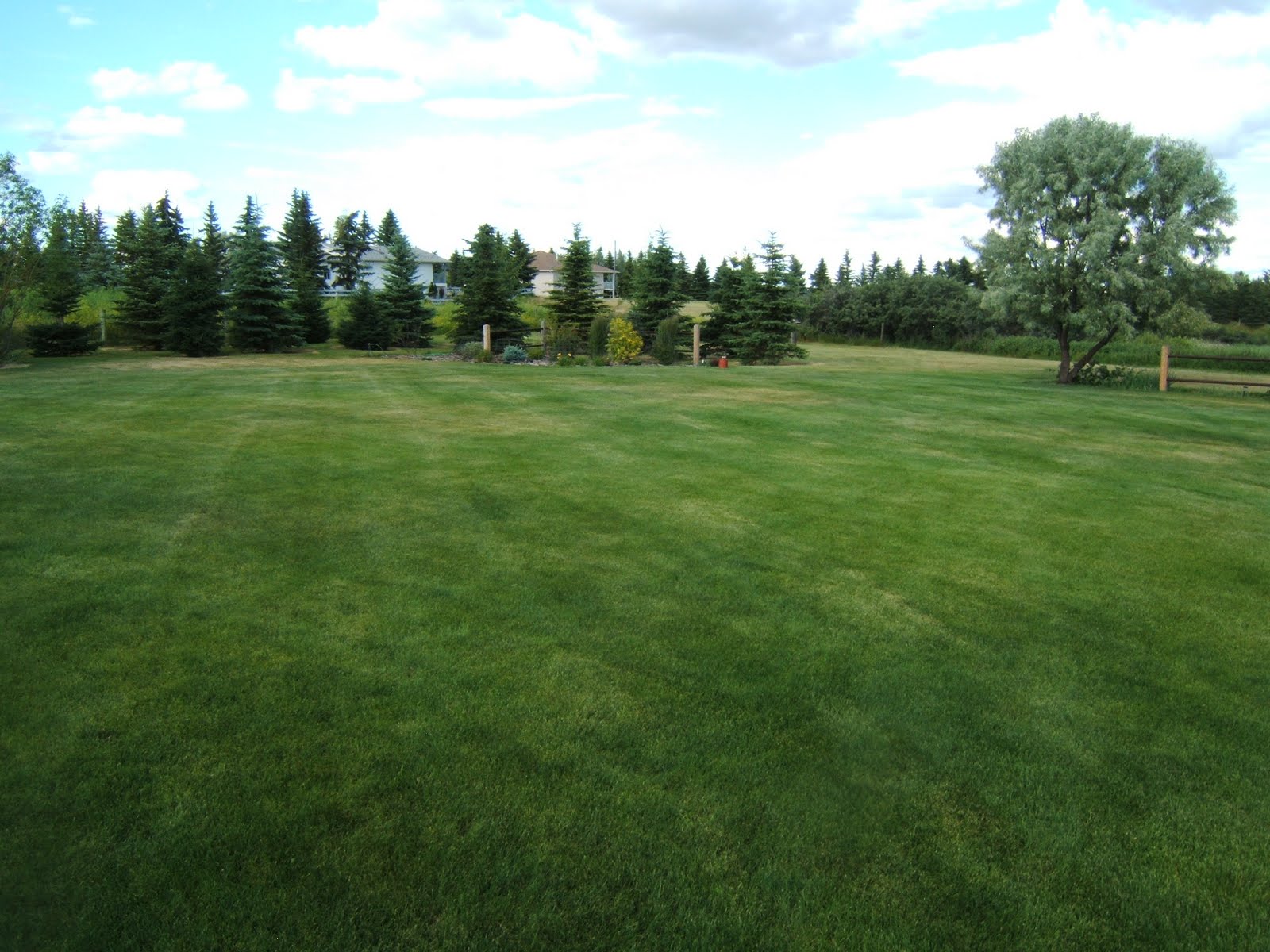 Medicine Hat Acreage for Sale