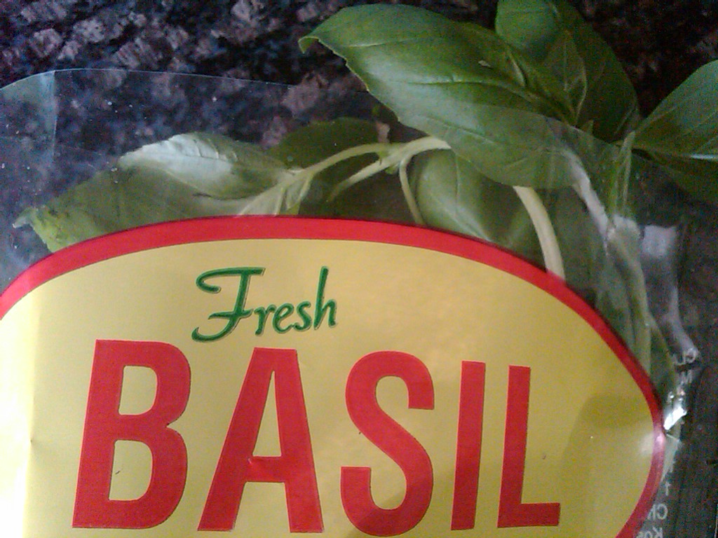...the year of the written word... basil. (108/365)