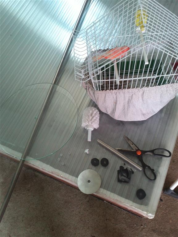 My Green Moment Bird Cage DIY