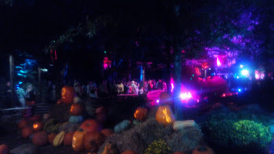 dollywood in the fall at night