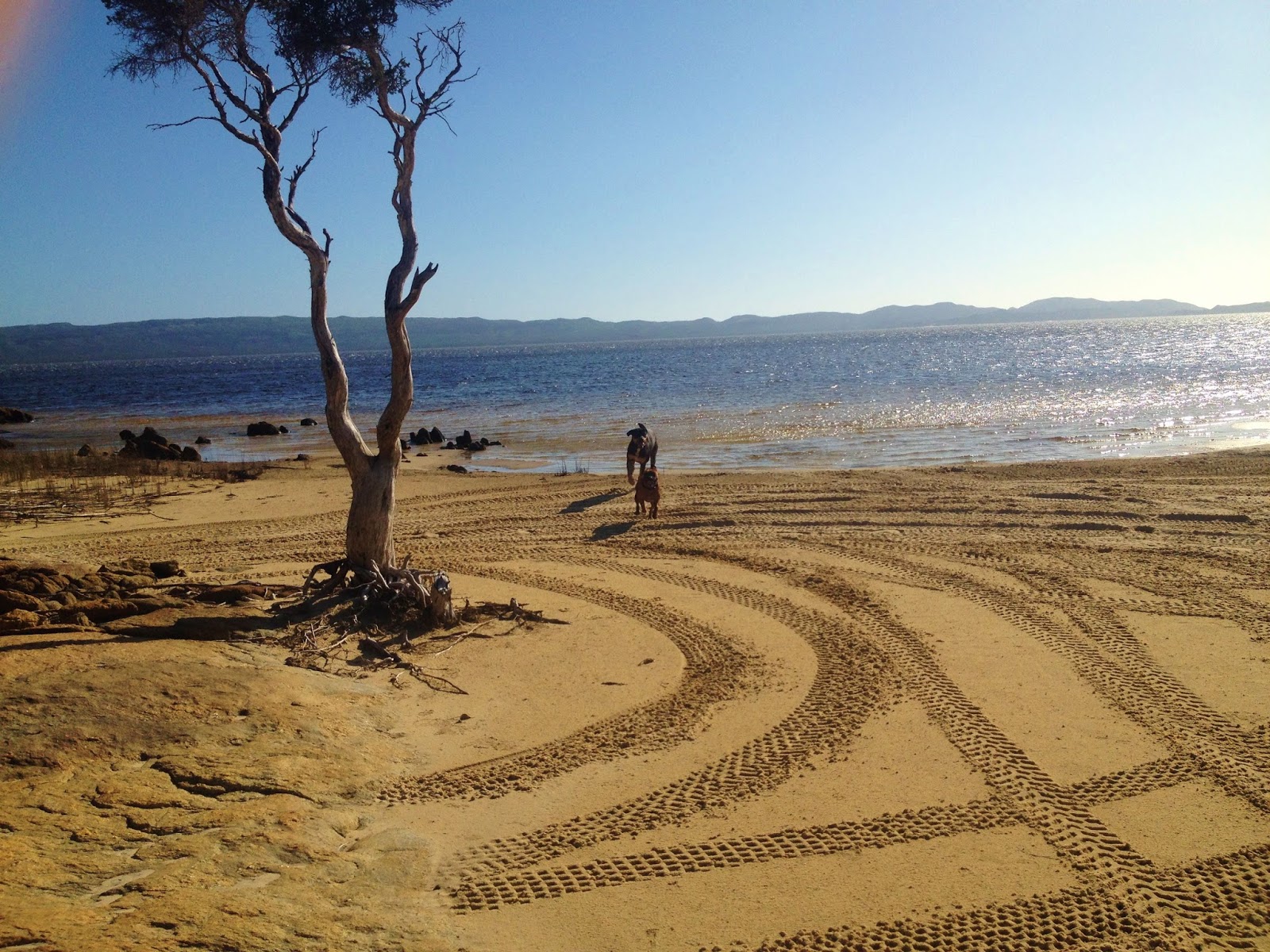 A WineDark Sea November 2016